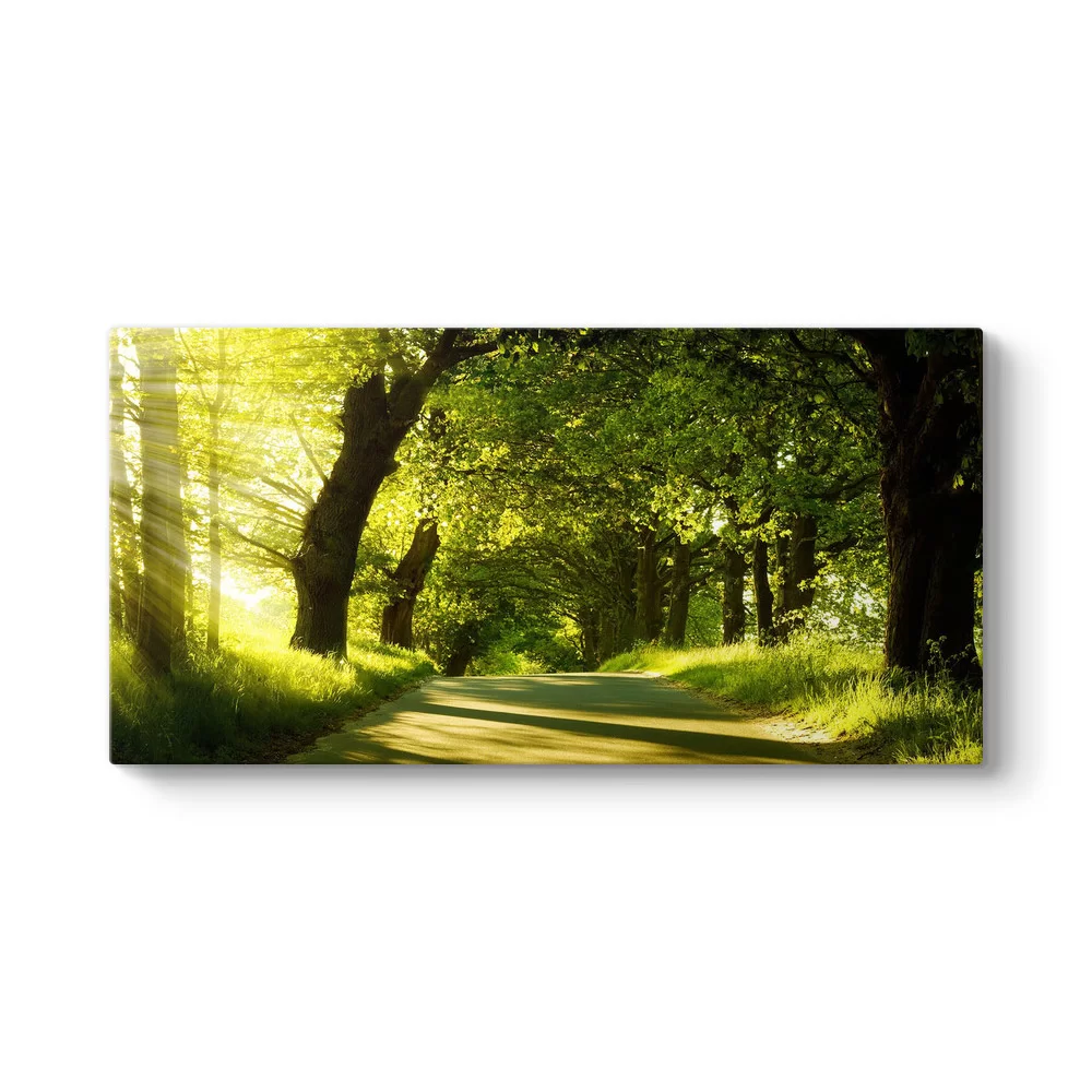 Yeşil Yol Panorama Tablosu - Model 5